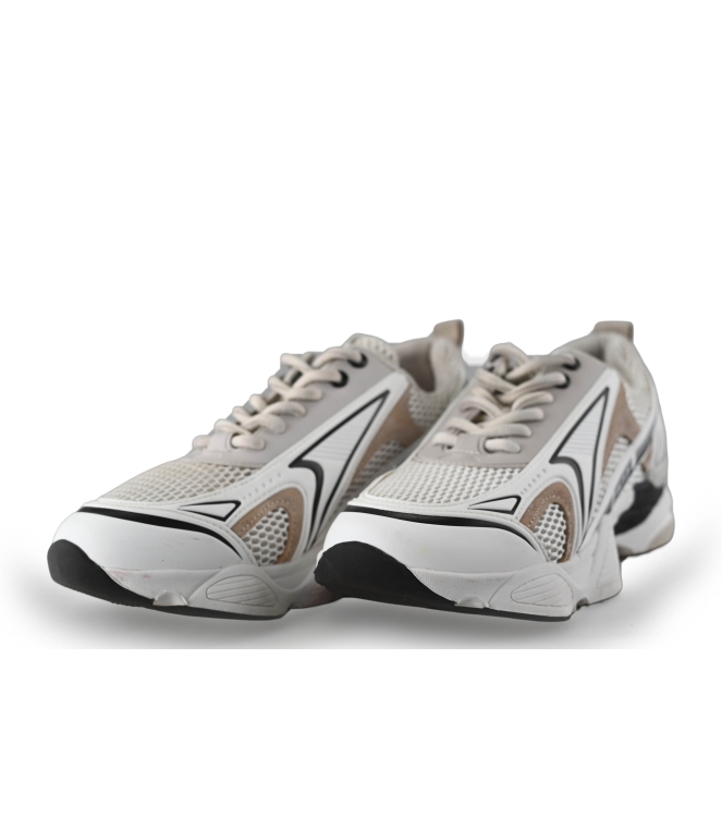 Steve Madden Sneaker