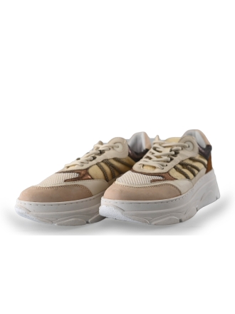 Poelman Sneaker 264302