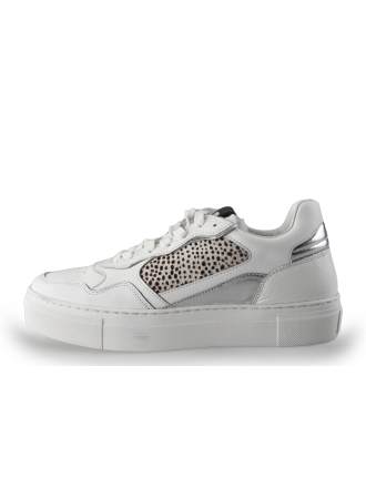 Maruti Sneaker