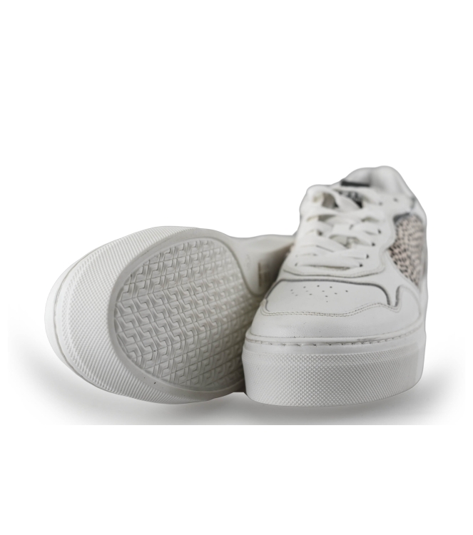 Maruti Sneaker