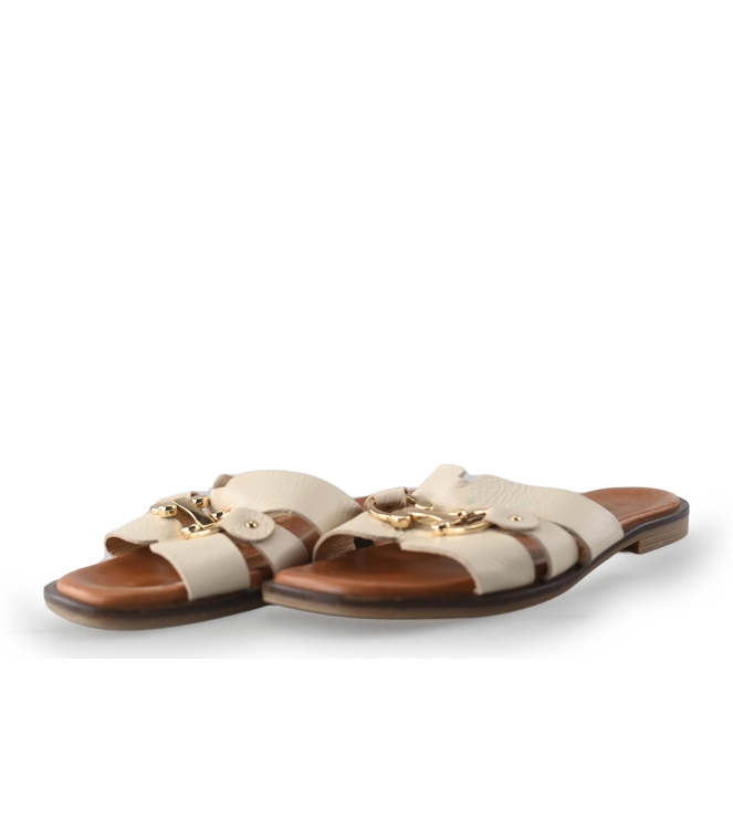 Notre-V Flip-Flops