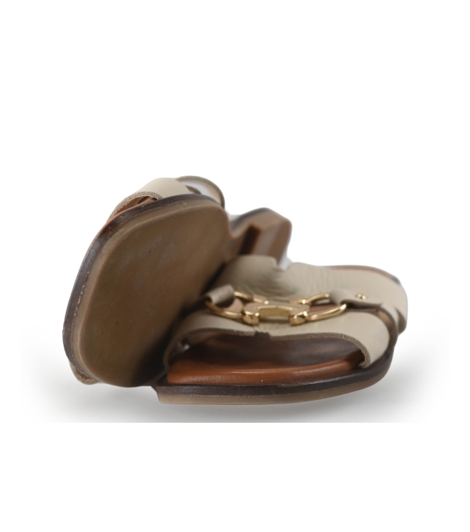 Notre-V Flip-Flops