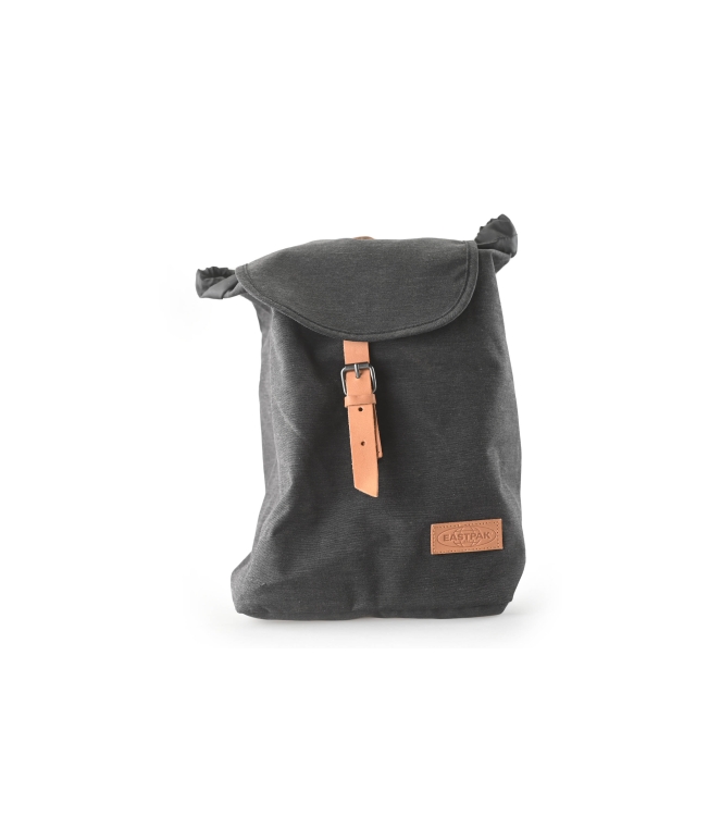 New Rebels Tasch
