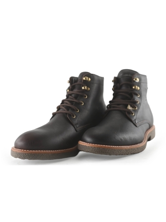 Panama Jack Schnürschuhe Braun 265082