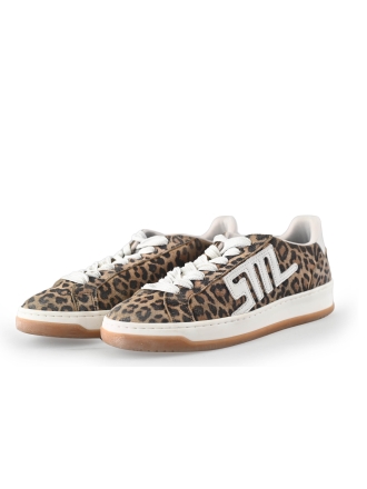 Steve Madden Sneaker