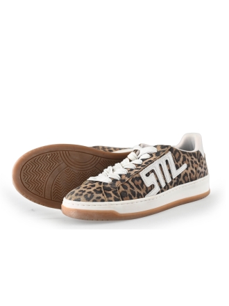 Steve Madden Sneaker