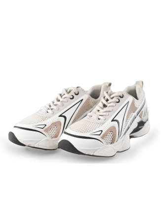 Steve Madden Sneaker