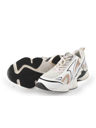 Steve Madden Sneaker