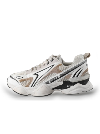 Steve Madden Sneaker