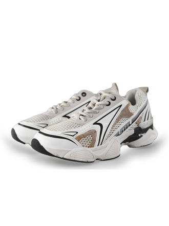 Steve Madden Sneaker