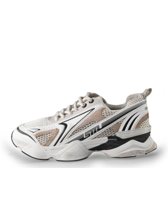 Steve Madden Sneaker