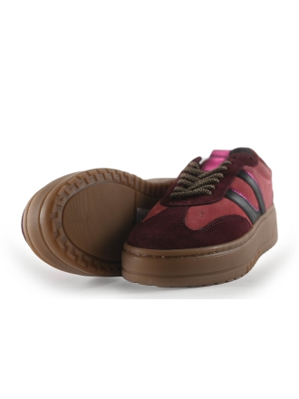 Manfield Sneaker