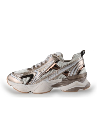 Steve Madden Sneaker