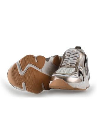 Steve Madden Sneaker