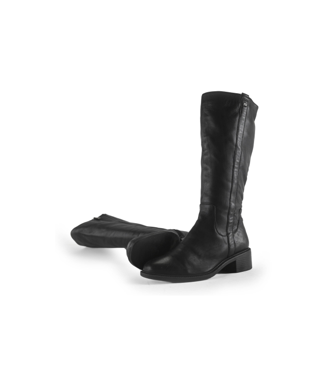 Nelson Stiefel