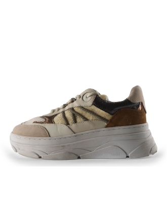 Poelman Sneaker Braun 266621