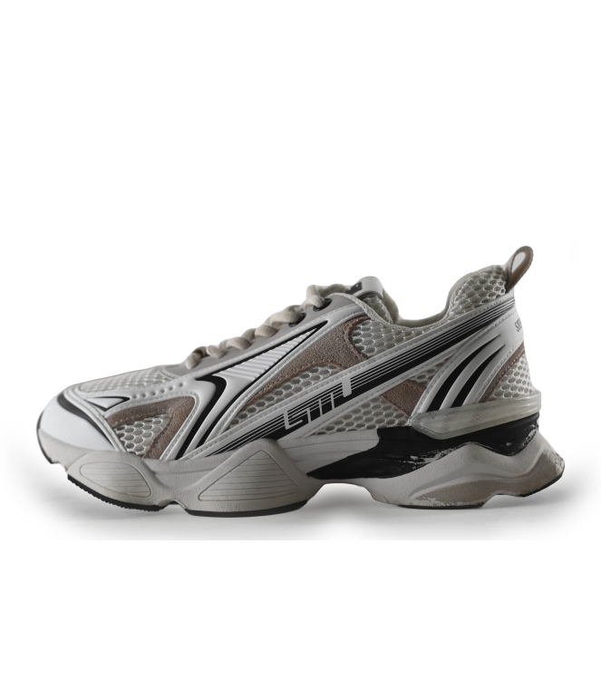 Steve Madden Sneaker