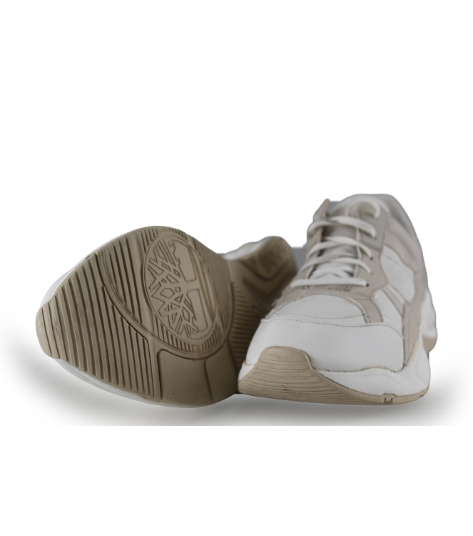 Timberland Sneaker