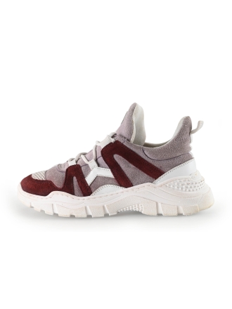 Driitoss Sneaker Rosa 268389