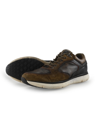 Greve Sneaker