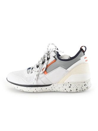Greve Sneaker