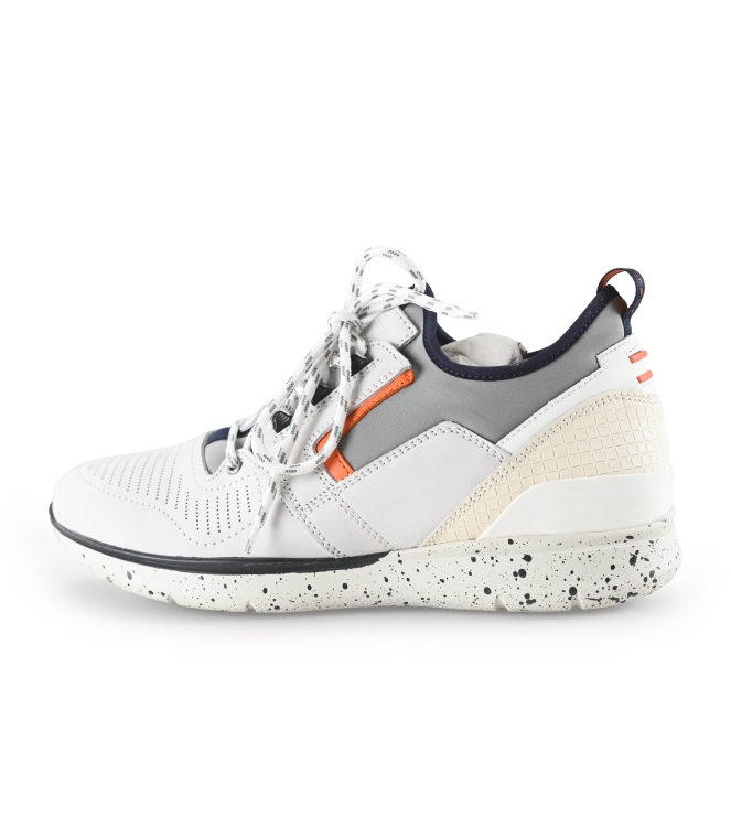 Greve Sneaker