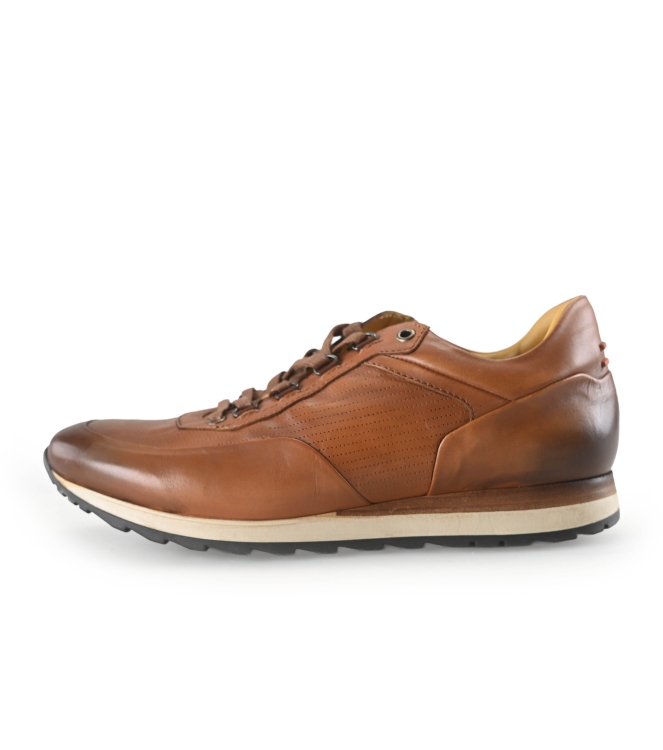 Greve Sneaker
