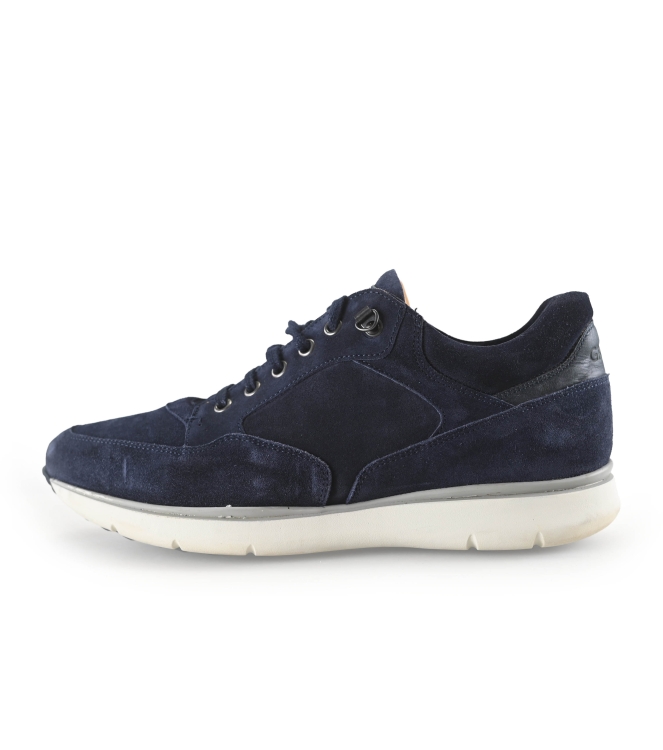 Greve Sneaker