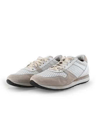 Greve Sneaker