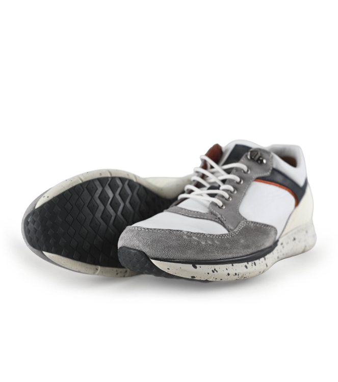 Greve Sneaker
