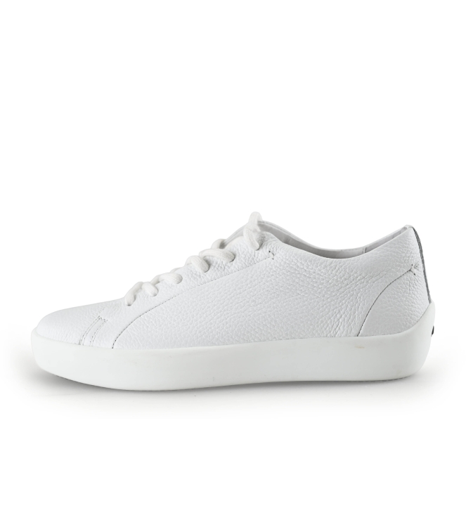 Ecco Sneaker