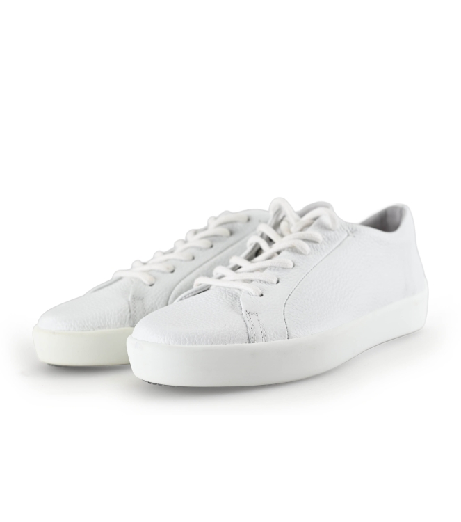 Ecco Sneaker