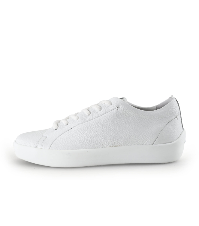 Ecco Sneaker