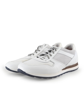 Greve Sneaker