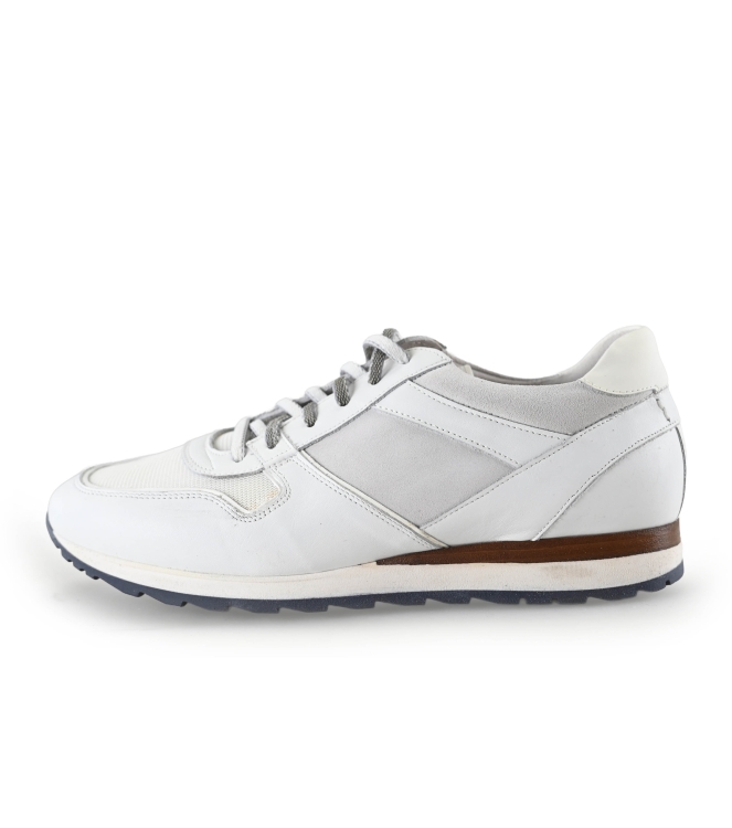Greve Sneaker