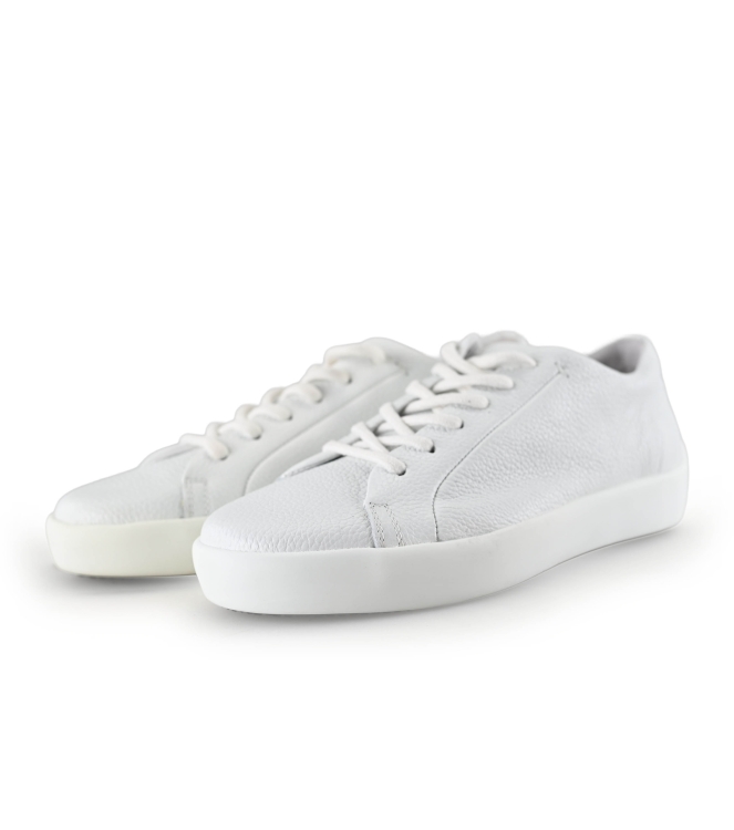 Ecco Sneaker