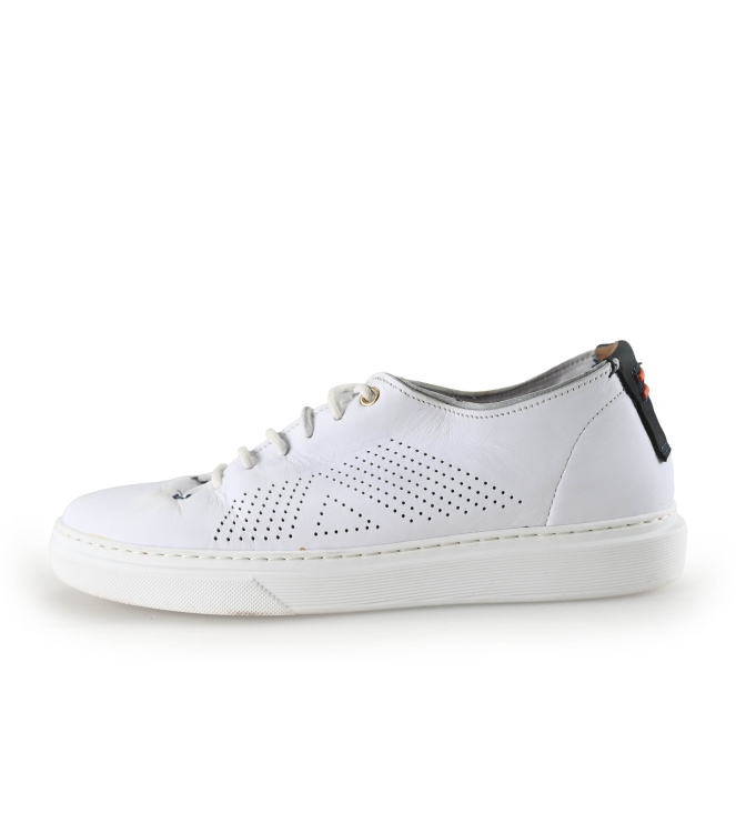 Greve Sneaker