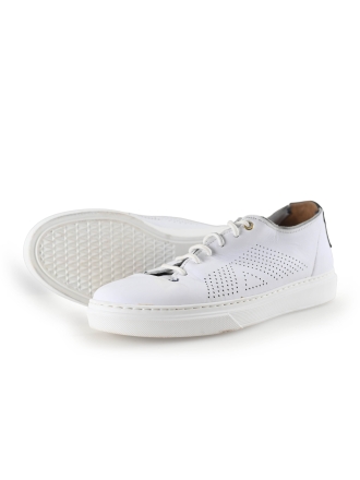 Greve Sneaker