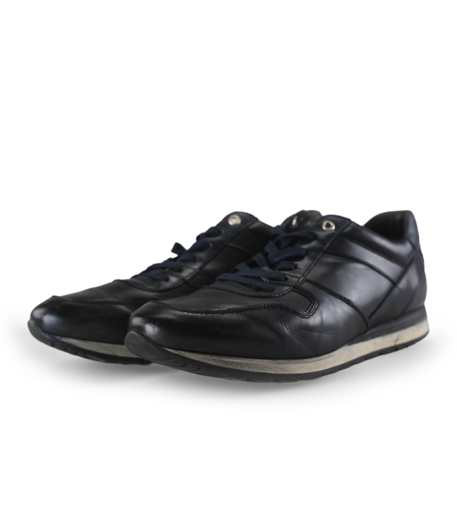 Greve Sneaker