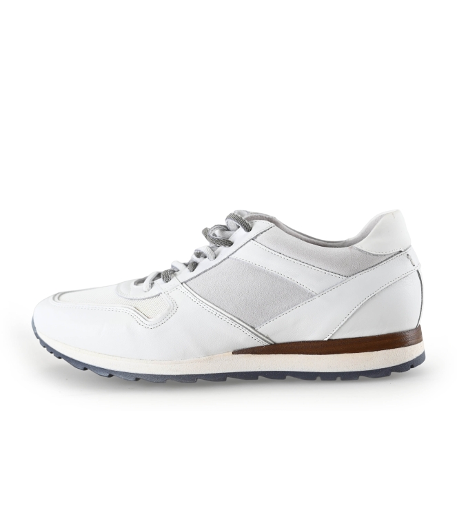 Greve Sneaker