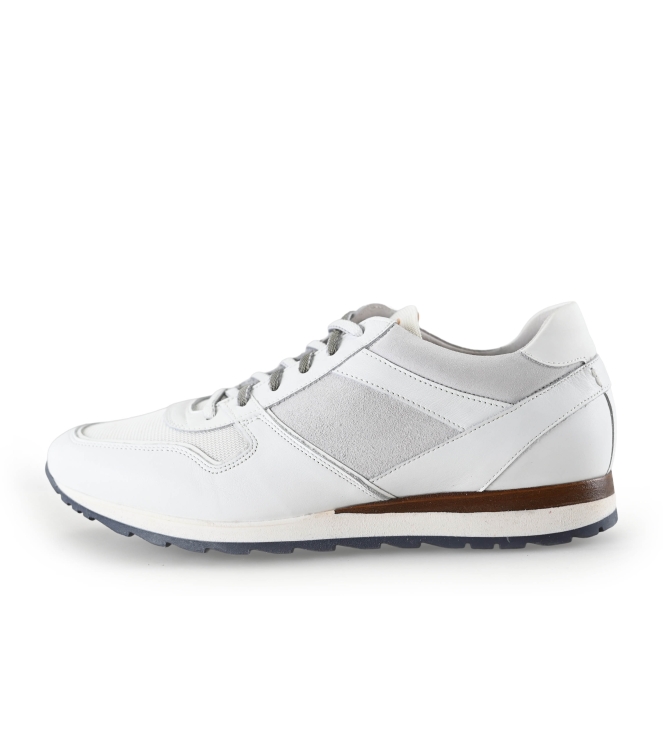 Greve Sneaker