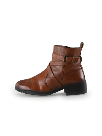 Nelson Stiefel