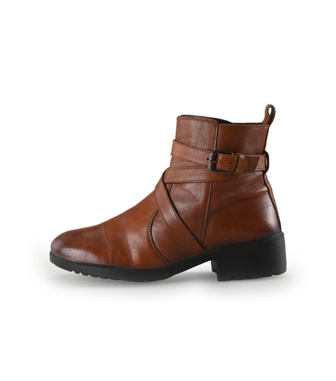 Nelson Stiefel