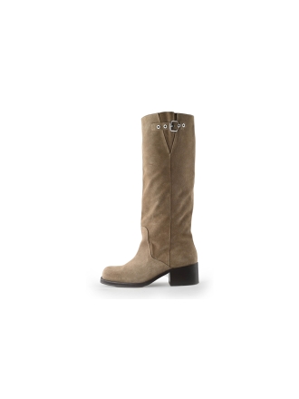 Toral Stiefel