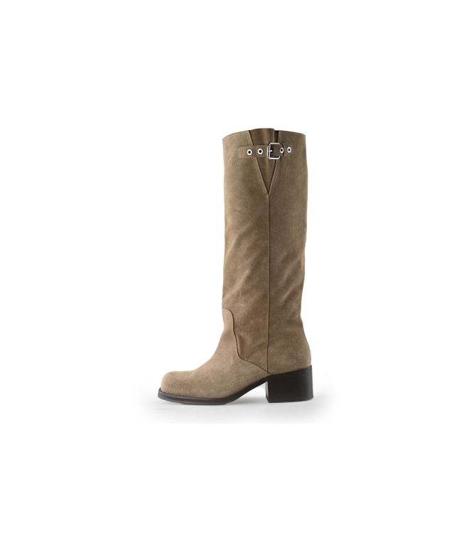 Toral Stiefel