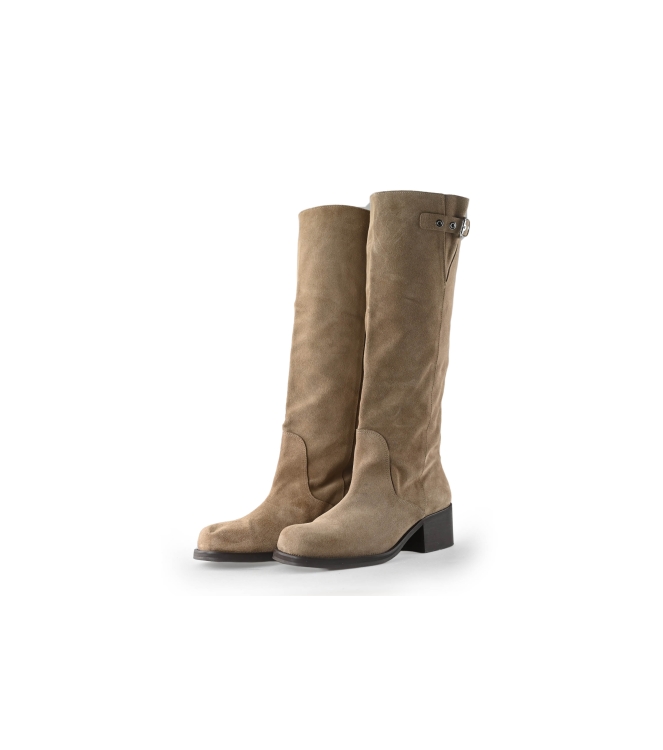 Toral Stiefel