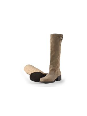 Toral Stiefel