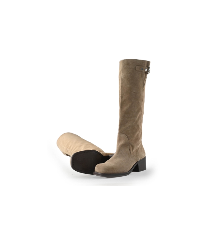 Toral Stiefel