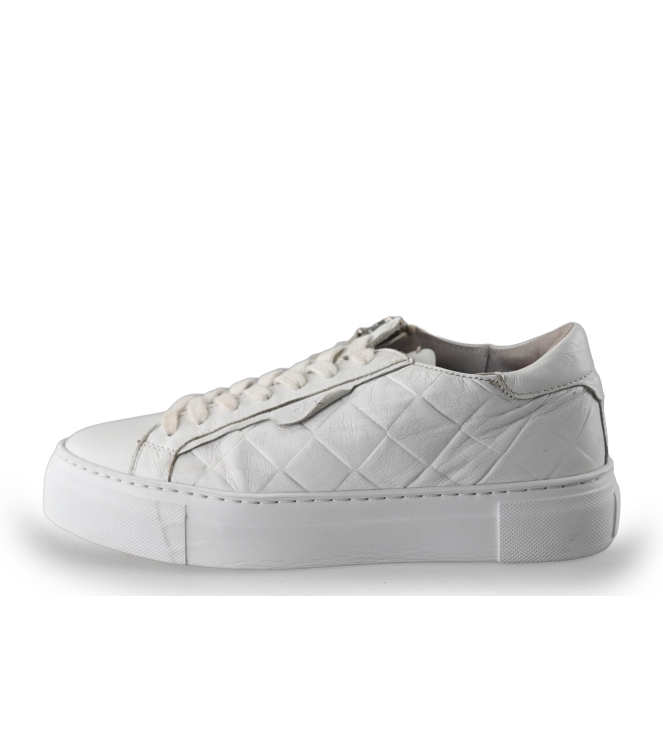 AQA Sneaker