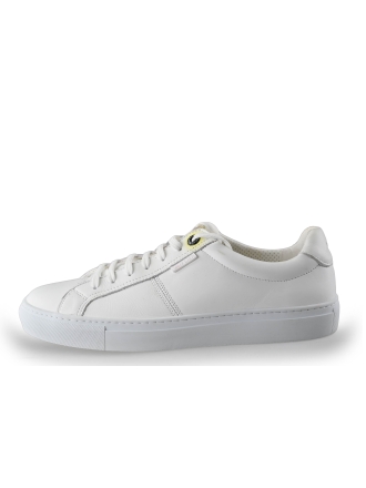 Manfield Sneaker